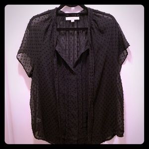 Loft L Sheer Black Short Sleeve Blouse